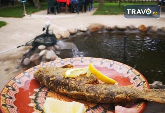 Почивка в Добринище! 1 нощувка със закуска и вечеря в къща за гости Андрееви, до минералния басейн - Снимка 25