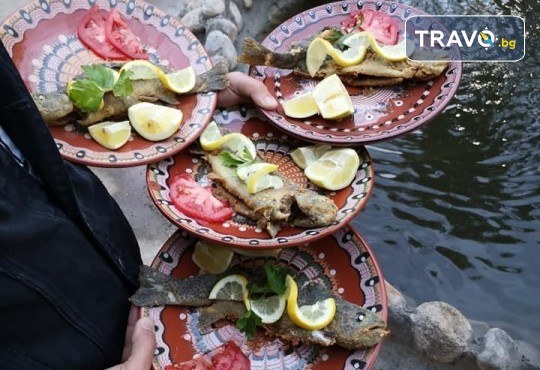 Почивка в Добринище! 1 нощувка със закуска и вечеря в къща за гости Андрееви, до минералния басейн - Снимка 29