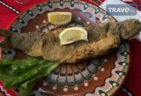 Почивка в Добринище! 1 нощувка със закуска и вечеря в къща за гости Андрееви, до минералния басейн - Снимка 20