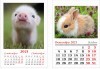 Лимитирана промоция! 13-листов календар със снимки на клиента + керамична чаша със снимка и пожелания от Офис 2 - thumb 9