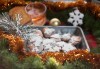 Коледно изкушение! Плато от 18 бр. бисквити с овесени ядки, шоколад, декорирани с фондан от Кулинарна работилница Деличи - thumb 3