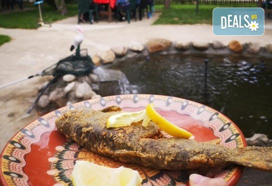 Почивка в Добринище! 1 нощувка със закуска и вечеря в къща за гости Андрееви, до минералния басейн - Снимка 25