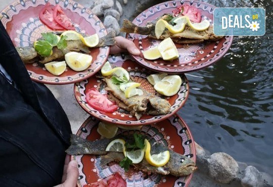 Почивка в Добринище! 1 нощувка със закуска и вечеря в къща за гости Андрееви, до минералния басейн - Снимка 29