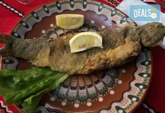 Почивка в Добринище! 1 нощувка със закуска и вечеря в къща за гости Андрееви, до минералния басейн - Снимка 20