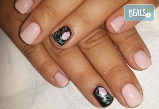Перфектната жена! Маникюр + педикюр с гел лак BlueSky и четири рисувани декорации в Салон Мечта - Снимка 26