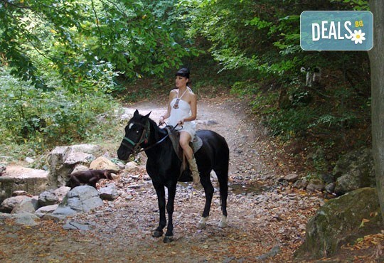 Промоционална оферта от конна база Св. Иван Рилски за конна езда на чист въздух във Владая - Снимка 2