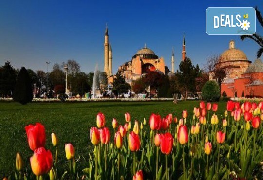 Фестивал на Лалето в Истанбул 2022 г., 4 дни, 2 нощувки, 2 закуски и транспорт от Belprego Travel, - Снимка 3