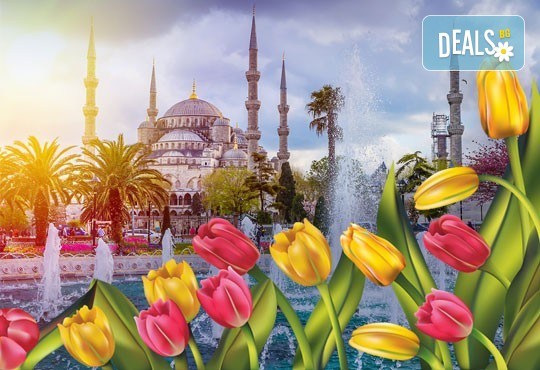 Фестивал на лалето в Истанбул! 2 нощувки със закуски в хотел 3*, транспорт, водач и посещение на Одрин - Снимка 1
