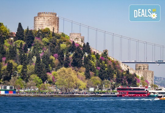 Фестивал на лалето в Истанбул! 2 нощувки със закуски в хотел Ватан Азур 4*, транспорт, посещение на Одрин и възможност за допълнителни екскурзии от Комфорт Травел - Снимка 8