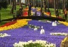 Екскурзия до Истанбул за Фестивала на лалето, Великден и 6 Май! 3 нощувки със закуски в хотел 5*, транспорт и екскурзовод от Рикотур - thumb 2