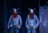 Трагедия дел арте по Уилям Шекспир! Гледайте Шекспирин по време на пандемия в Малък градски театър Зад канала на 14-ти май (събота) - thumb 4