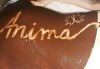 Релаксираща СПА терапия с шоколад и френска био козметика Blue Marine - дълбоко релаксиращ масаж на цяло тяло, шоколадов ексфолиант на гръб и шоколадова маска в Anima Beauty&Relax - thumb 4
