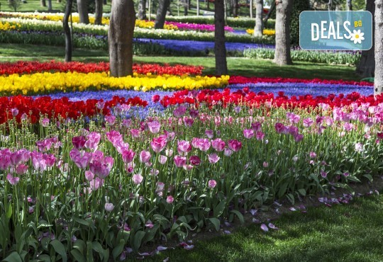 Истанбул през лятото! 2 нощувки със закуски, транспорт и посещение на Одрин от туроператор Шанс 95 Травел - Снимка 10