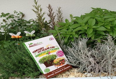 Комплект Отгледай сам микрорастения 2 в 1 - броколи и репички, от Serdika Farms - Снимка