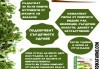 Комплект Отгледай сам микрорастения 2 в 1 - броколи и репички, от Serdika Farms - thumb 7
