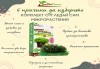 Комплект Отгледай сам микрорастения 2 в 1 - броколи и репички, от Serdika Farms - thumb 2
