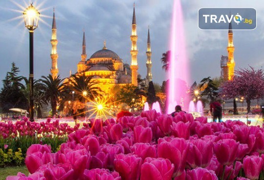 Фестивал на лалето в Истанбул! 5 дни, 3 нощувки, закуски и транспорт от Надрумтур 2019 - Снимка 1