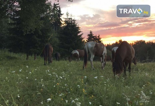 Детски планински лагер за деца от 7 до 15 г! 3 нощувки, закуски, обеди, вечери, уроци по езда, планински преход, от Шери Тур - Снимка 4