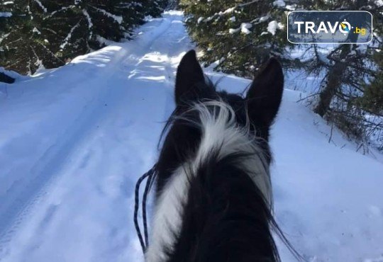 Детски планински лагер за деца от 7 до 15 г! 3 нощувки, закуски, обеди, вечери, уроци по езда, планински преход, от Шери Тур - Снимка 5