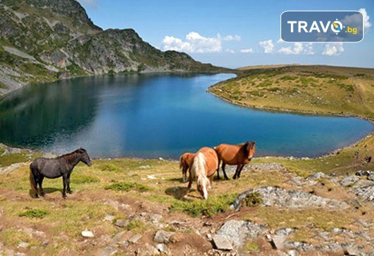 Детски планински лагер за деца от 7 до 15 г! 3 нощувки, закуски, обеди, вечери, уроци по езда, планински преход, от Шери Тур - Снимка 2