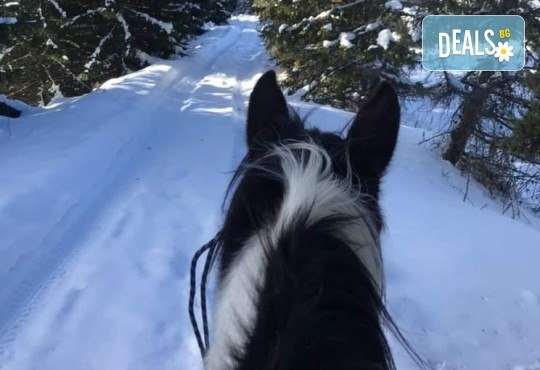 Един малко по- различен Великден, изпълнен с приключения - детски планински лагер за деца от 7 до 15 г! 3 нощувки, закуски, обеди, вечери, уроци по езда, планински преход, от Шери Тур - Снимка 5