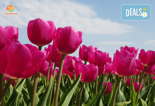 Уикенд екскурзия в Истанбул! 4 дни, 2 нощувки със закуски в хотел Vatan Asur 4* и транспорт от Еко Айджънси Тур - Снимка 9