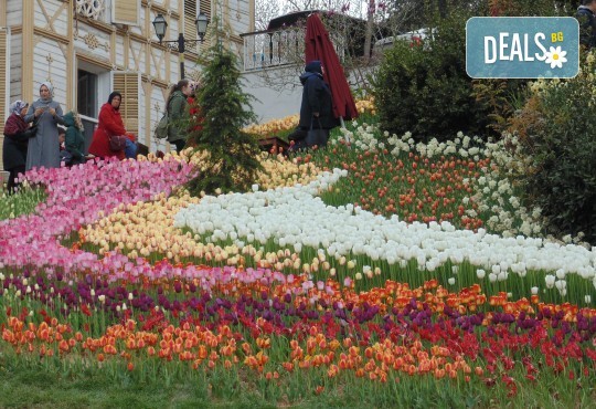 Ранни записвания за Фестивал на лалето в Истанбул! 4 дни, 3 нощувки, закуски и транспорт от Надрумтур Травел 2019 - Снимка 15