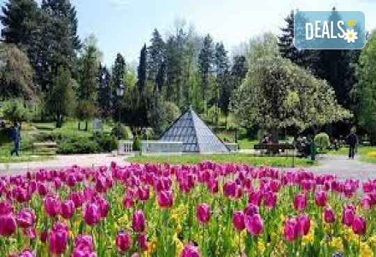 Нова Година в хотел FONTANA 4*;, Върнячка баня, Сърбия! 3 нощувки, закуски, Празнична вечеря, Реприза, жива музика, СПА, от Рикотур - Снимка 2