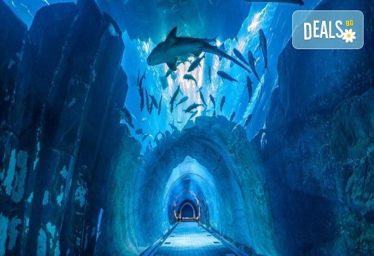 Екскурзия до Дубай с полет от София! 6 дни, 5 нощувки, самолетен билет, хотел и изхранване по избор от Luxury holidays - Снимка 11