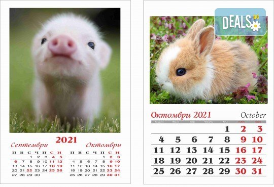 Лимитирана оферта! Голям 12-листов календар със снимки на клиента + работен календар със снимки и надписи от Офис 2 - Снимка 8