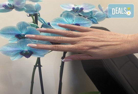 Изграждане с гел и маникюр с гел лак в Студио за красота Avangard art nails - Снимка 7