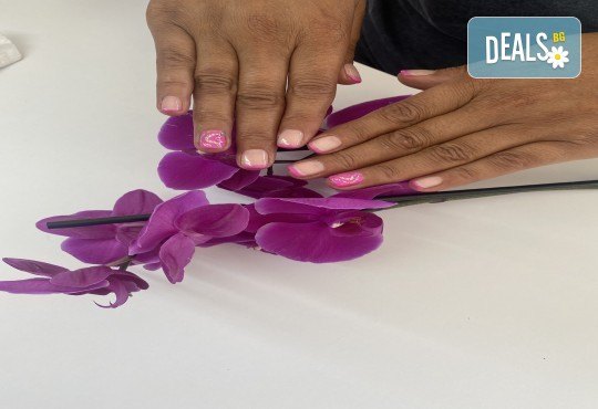 Изграждане с гел и маникюр с гел лак в Студио за красота Avangard art nails - Снимка 5
