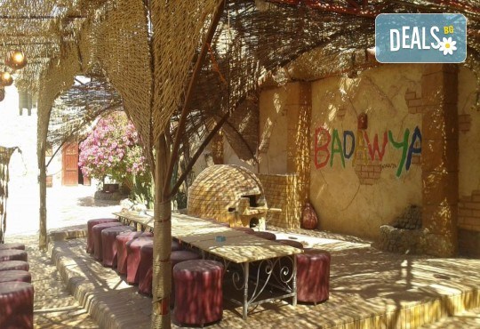 All inclusive почивка в Хургада, х-л Sunny Days El Palacio Resort SPA 4*! 7 нощувки, самолетни билети, трансфери, летищни такси, от Абакс - Снимка 14