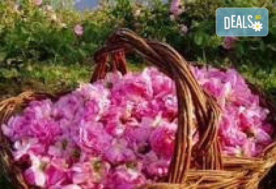 Екскурзия за един ден за Празника на розата в Казанлък: транспорт и водач от Рикотур - Снимка 2