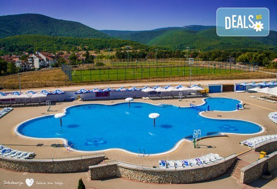 Екскурзия за 3 март в Сокобаня, Сърбия: 2 нощувки, закуски, обяди, вечери, жива музика, напитки, от Рикотур транспорт и водач от Рикотур - Снимка 10