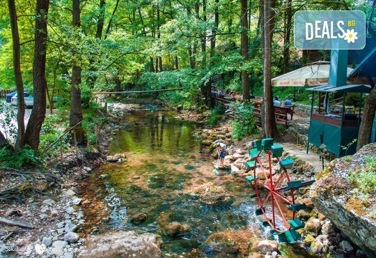 Екскурзия за 3 март в Сокобаня, Сърбия: 2 нощувки, закуски, обяди, вечери, жива музика, напитки, от Рикотур транспорт и водач от Рикотур - Снимка 4