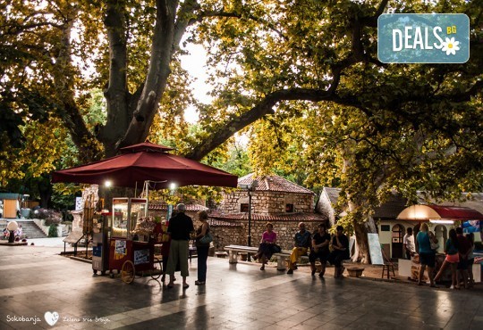 Екскурзия за 3 март в Сокобаня, Сърбия: 2 нощувки, закуски, обяди, вечери, жива музика, напитки, от Рикотур транспорт и водач от Рикотур - Снимка 2