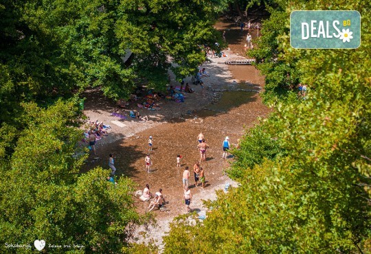 Екскурзия за 3 март в Сокобаня, Сърбия: 2 нощувки, закуски, обяди, вечери, жива музика, напитки, от Рикотур транспорт и водач от Рикотур - Снимка 1