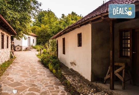 Екскурзия за 3 март в Сокобаня, Сърбия: 2 нощувки, закуски, обяди, вечери, жива музика, напитки, от Рикотур транспорт и водач от Рикотур - Снимка 7