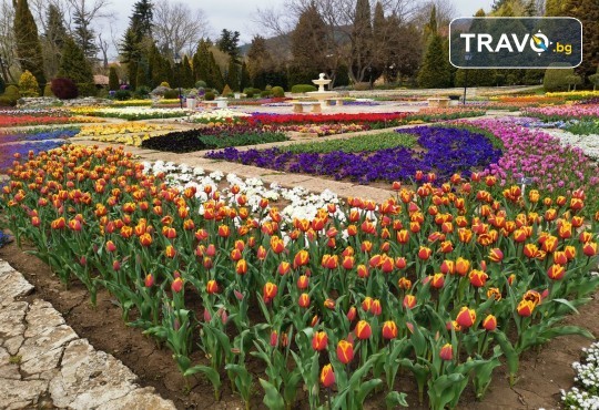 Парад на лалето в Балчик! 1 нощувка, посещение на нос Калиакра, Аладжа манастир и транспорт от Рикотур - Снимка 3