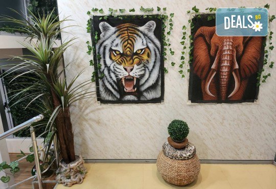 VIP Рисуване в екзотично кресло с чаша шампанско и сладък комплимент от Студио АРТ ВИНО 8 - Снимка 5