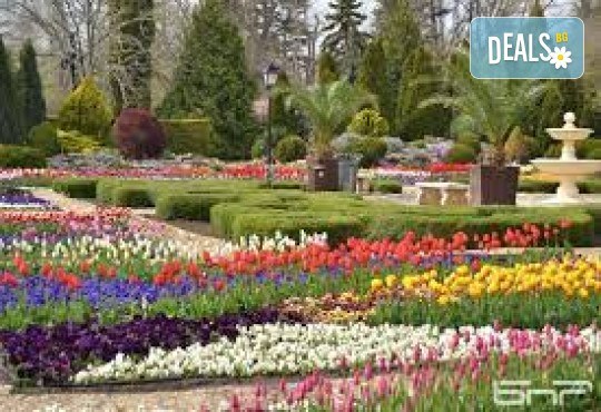 Парад на лалето в Балчик, посещение на Плиска, с възможност за Констанца и Мамая.! 3 дни, 2 нощувки, закуски и транспорт от Неврокоп Травел - Снимка 1