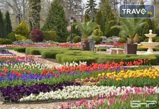 Парад на лалето в Балчик, посещение на Плиска, с възможност за Констанца и Мамая.! 3 дни, 2 нощувки, закуски и транспорт от Неврокоп Травел - Снимка 1