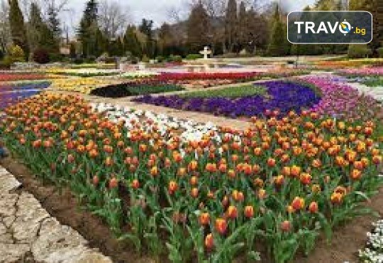 Парад на лалето в Балчик, посещение на Плиска, с възможност за Констанца и Мамая.! 3 дни, 2 нощувки, закуски и транспорт от Неврокоп Травел - Снимка 9