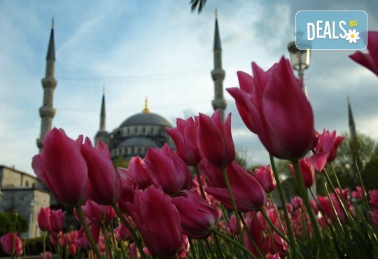 Фестивал на лалето 2024 в мегаполиса Истанбул! 2 нощувки със закуски в хотел 3*посещение на Одрин и транспорт от Роял Холидейз - Снимка 1
