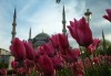 Фестивал на лалето 2024 в мегаполиса Истанбул! 2 нощувки със закуски в хотел 3*посещение на Одрин и транспорт от Роял Холидейз - thumb 1