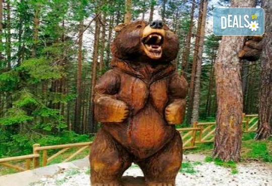 Подгответе се за невероятно приключение! Екскурзия с Родопската теснолинейка, разходка в Разлог, Белица и Парка за мечки, Увеселителният Рила Фън Парк, с 1 нощувка, закуска, вечеря и транспорт от Неврокоп Травел - Снимка 4