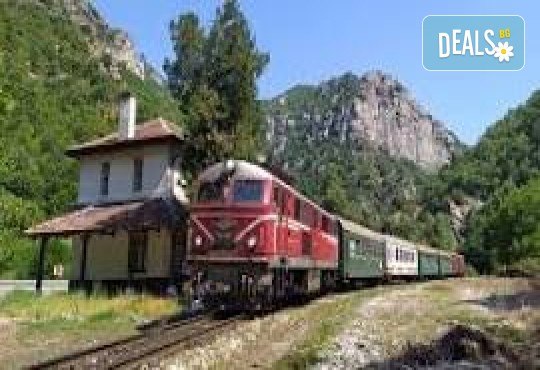 Подгответе се за невероятно приключение! Екскурзия с Родопската теснолинейка, разходка в Разлог, Белица и Парка за мечки, Увеселителният Рила Фън Парк, с 1 нощувка, закуска, вечеря и транспорт от Неврокоп Травел - Снимка 1