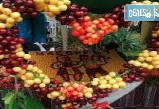 Фестивал на черешата е Текирдаг! 1 нощувка, закуска и транспорт от Неврокоп Травел - Снимка 1