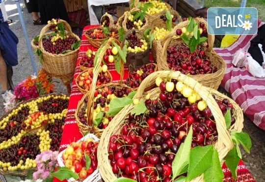 Фестивал на черешата е Текирдаг! 1 нощувка, закуска и транспорт от Неврокоп Травел - Снимка 3